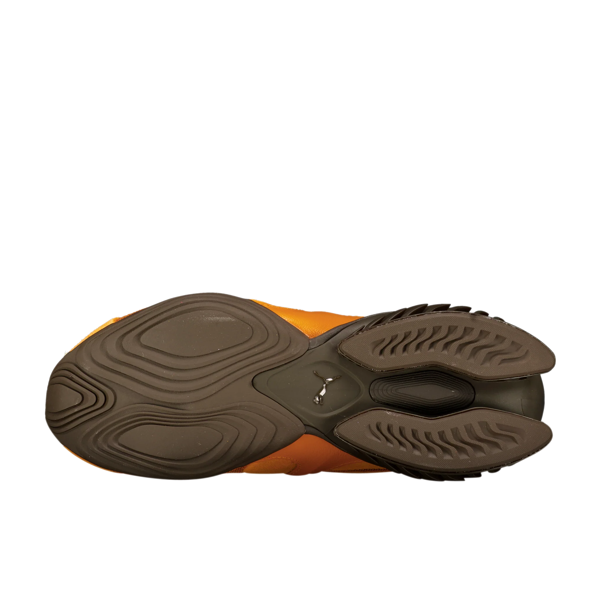 Cell Geo 1 'Papaya' - Image 4