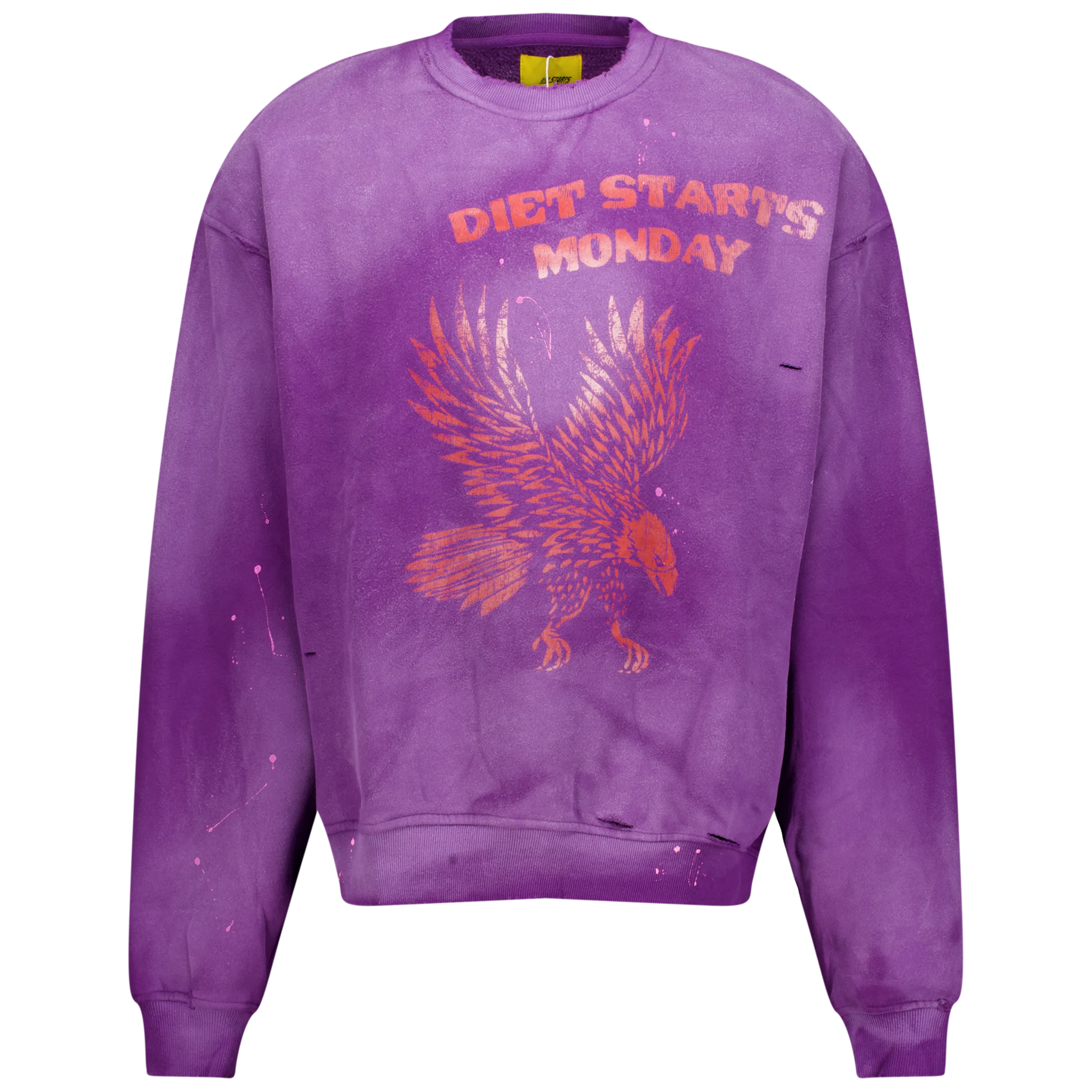 Eagle Sweatshirt