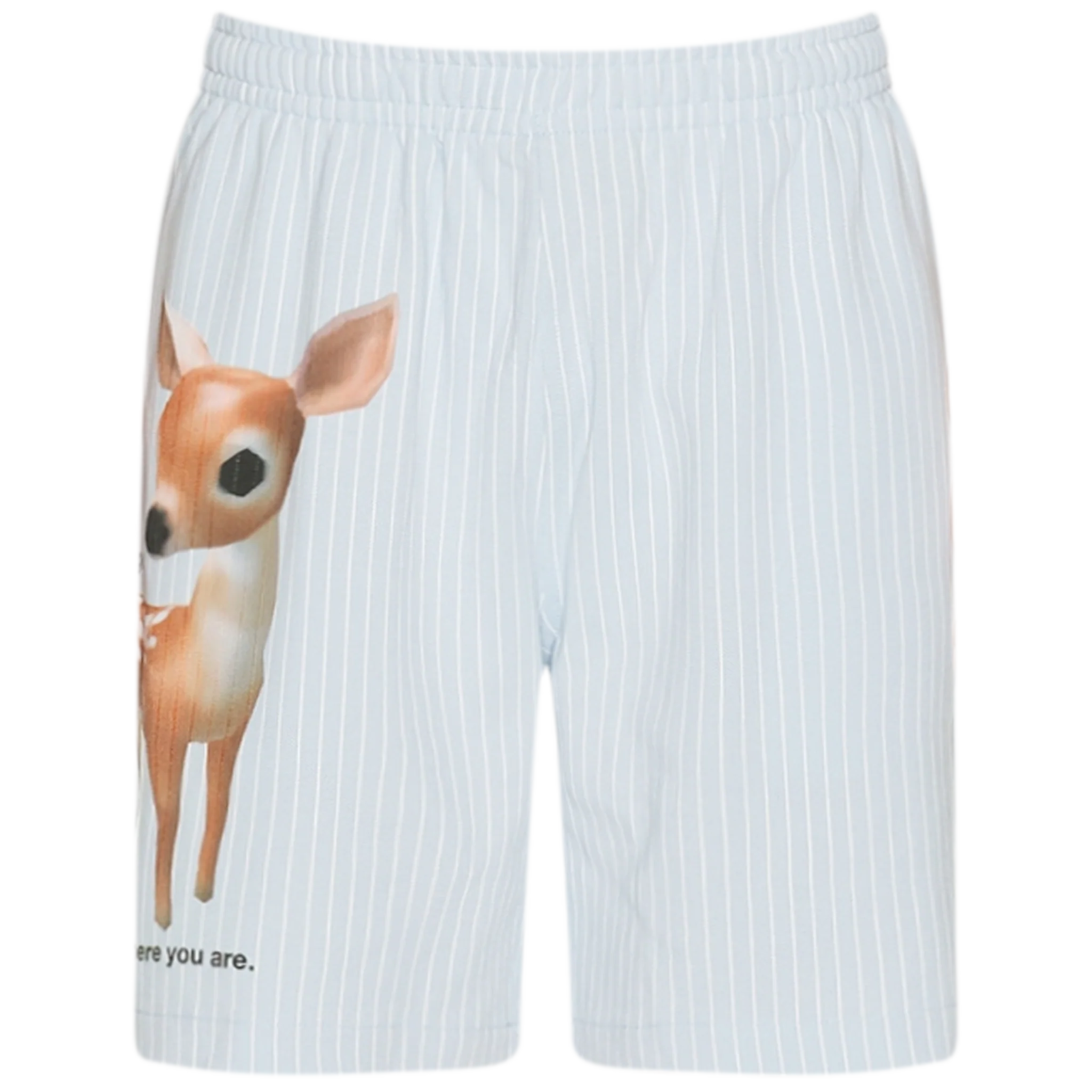 Pet Shorts