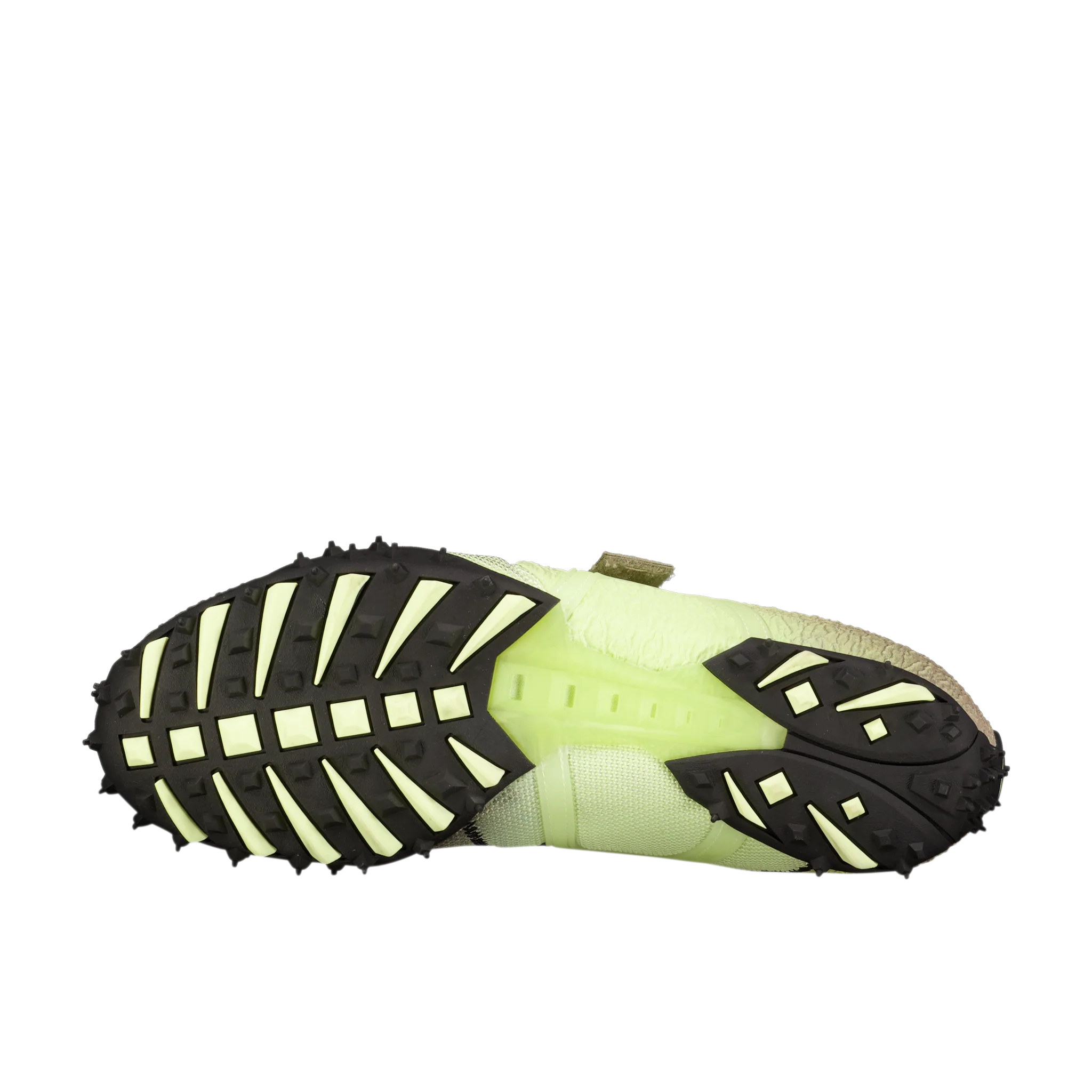RPT-2 Biology - Image 4