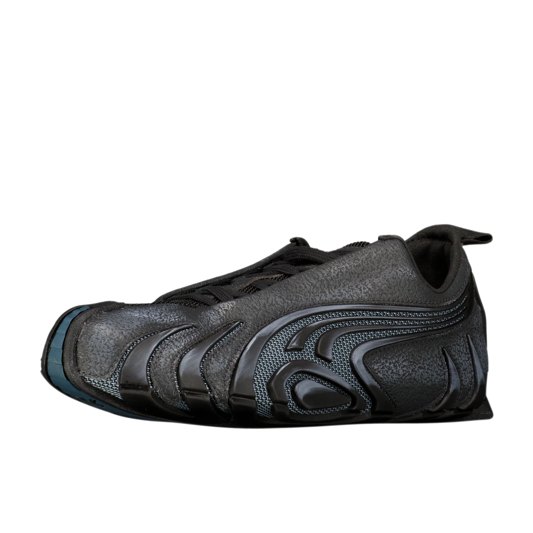 Talon Biology - Image 2