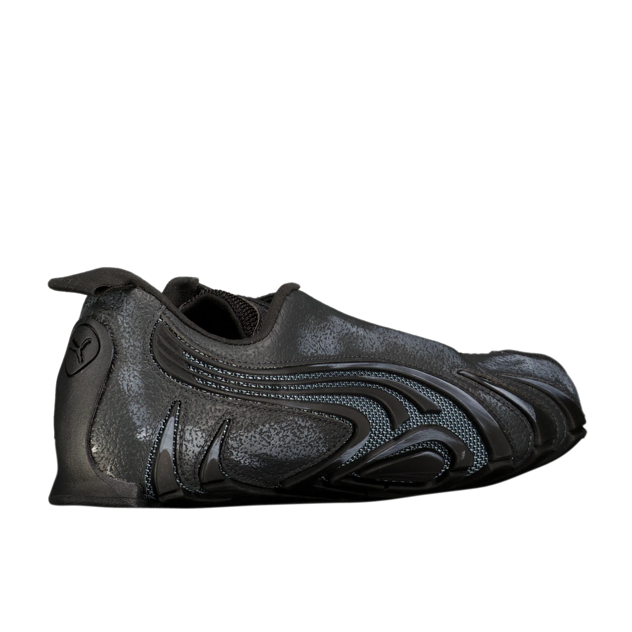 Talon Biology - Image 3