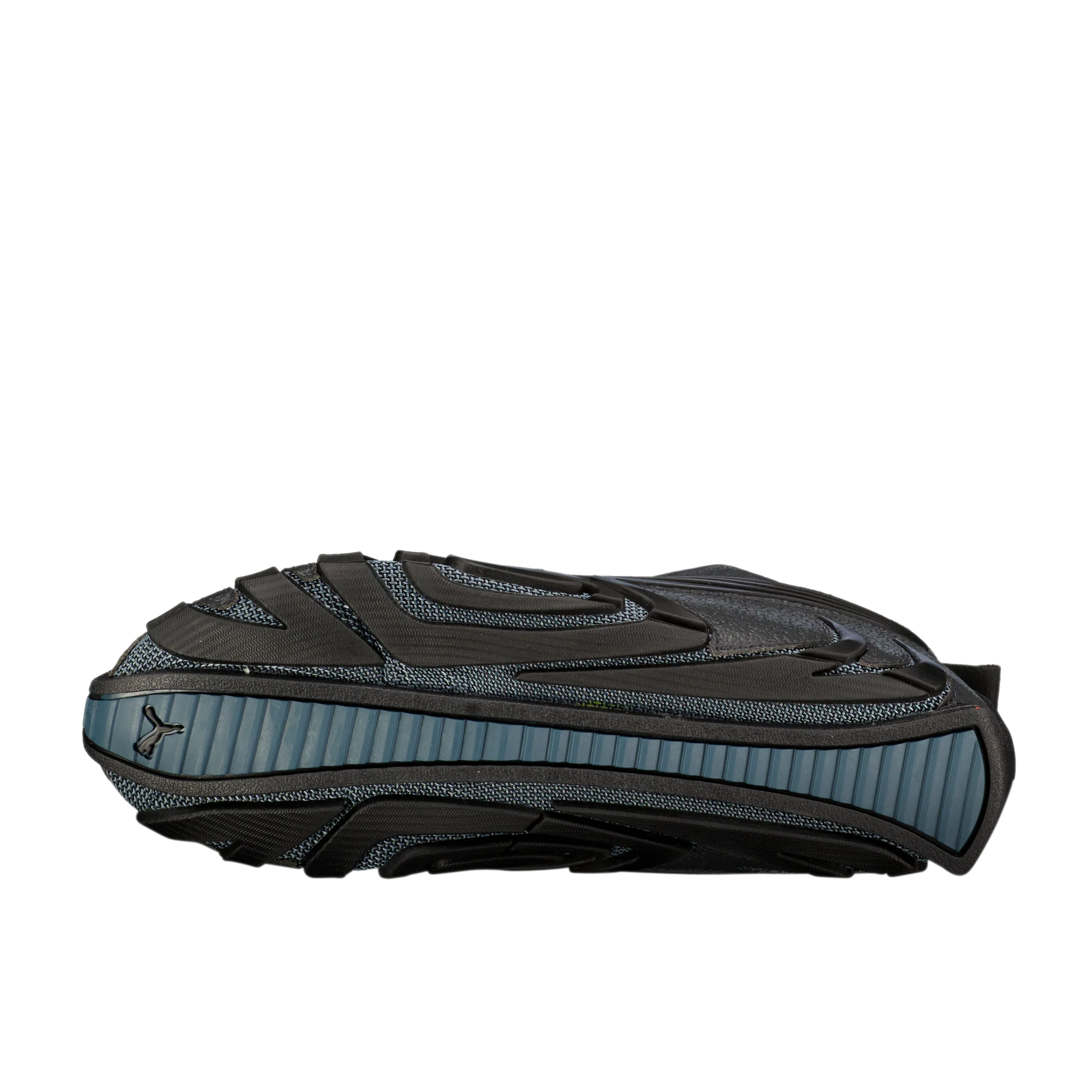 Talon Biology - Image 4